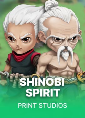 Shinobi Spirit