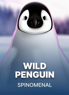 Wild Penguin