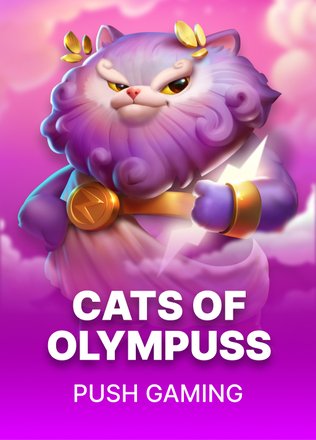 Cats Of Olympuss