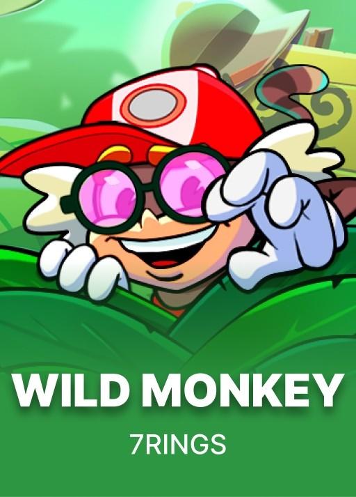 Wild Monkey