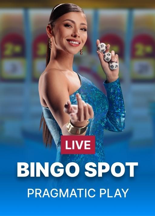 The Bingo Spot