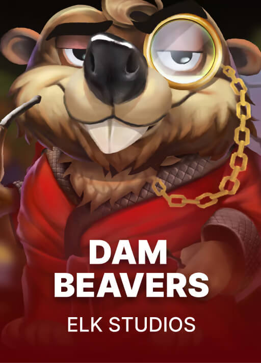 Dam Beavers