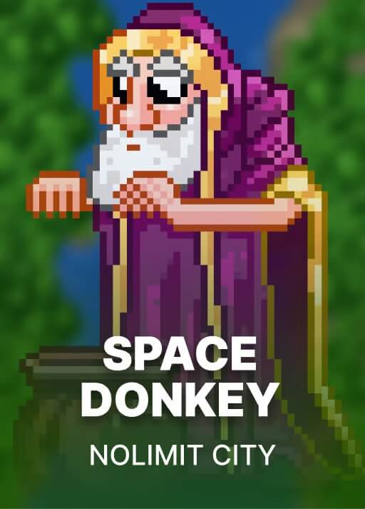 Space Donkey